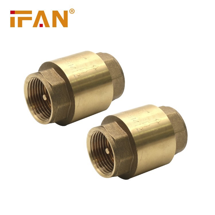 Brass Check Valve 04