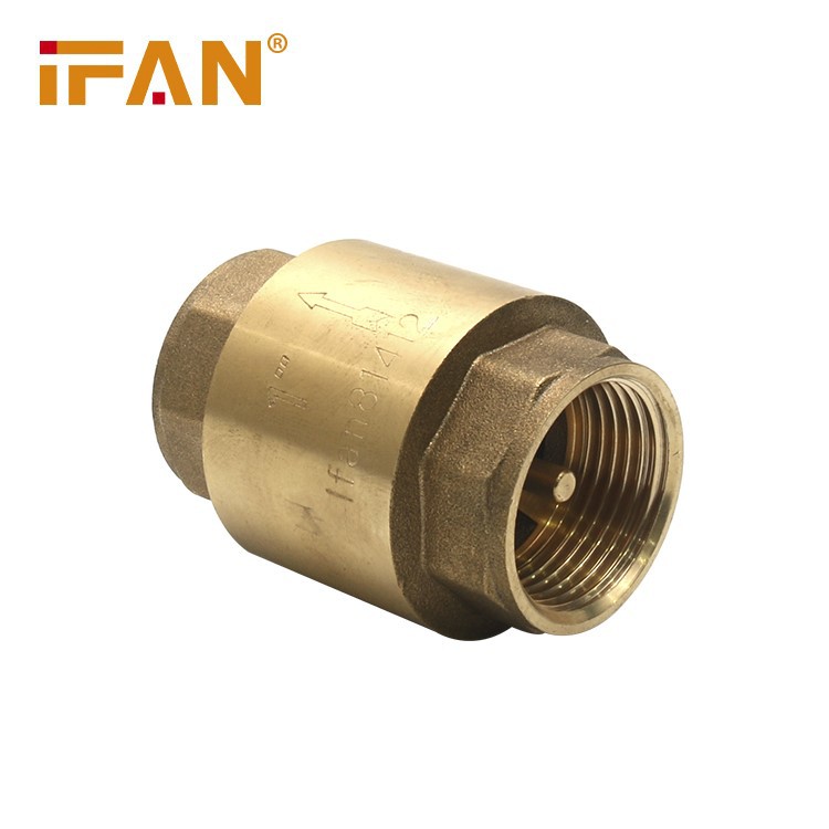 Brass Check Valve 03