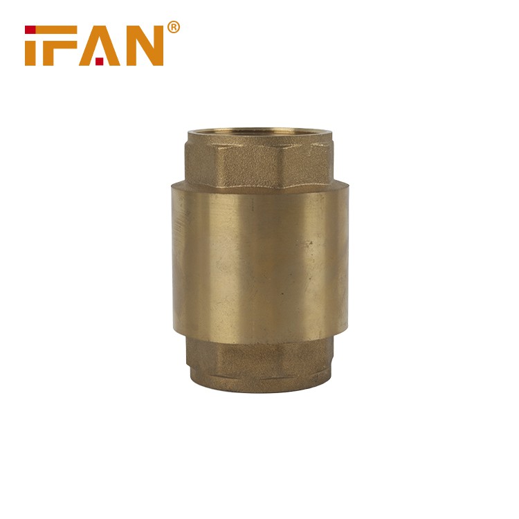 Brass Check Valve 5