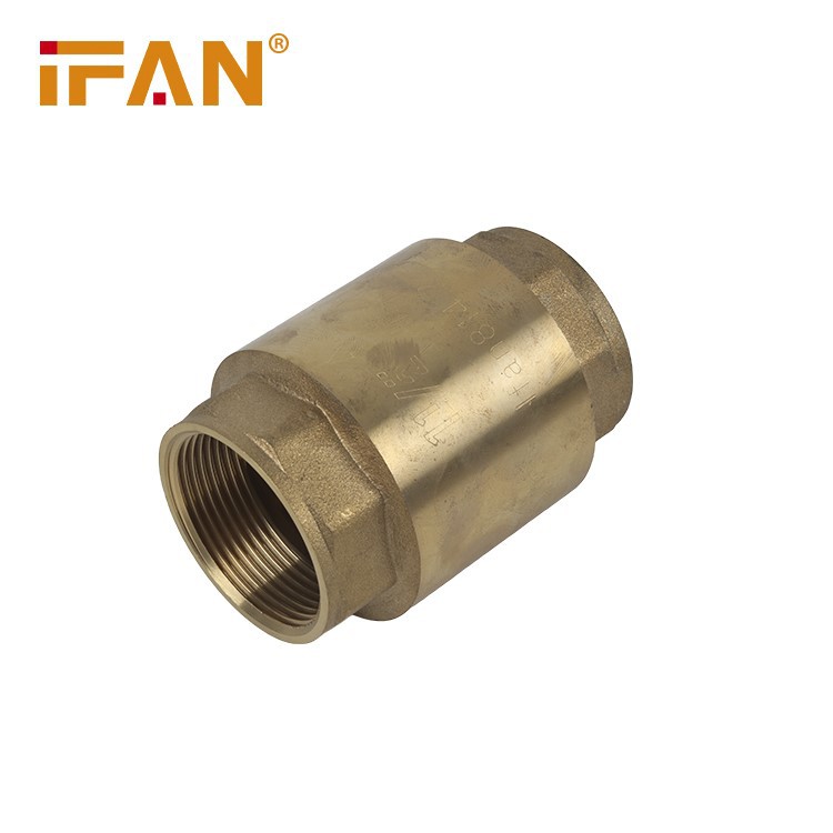 Brass Check Valve 4