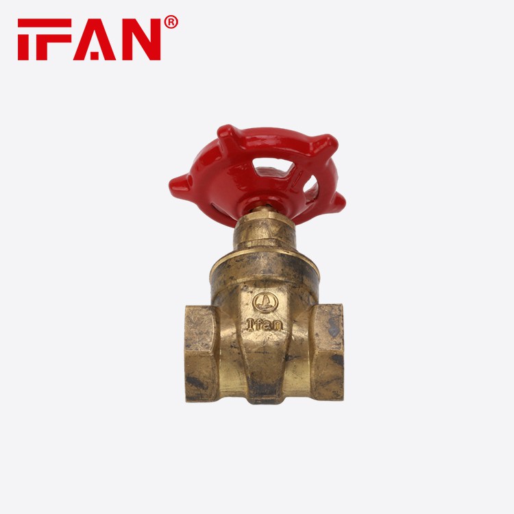 gate valve 9