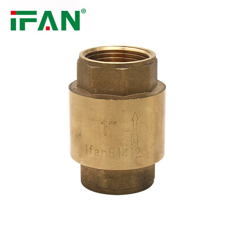 Check Valve For Water