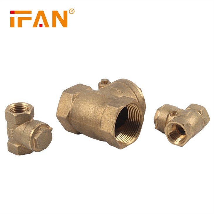 China Brass Check Valve