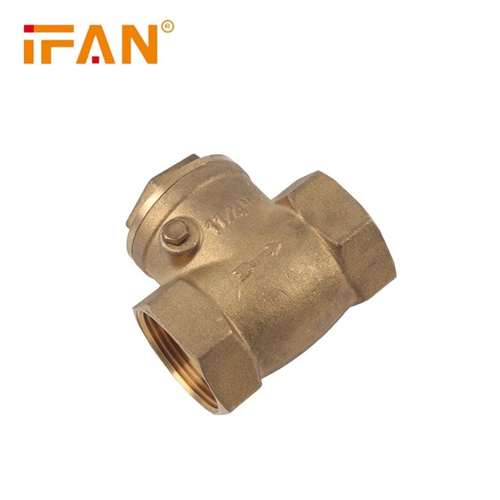 China Brass Check Valve