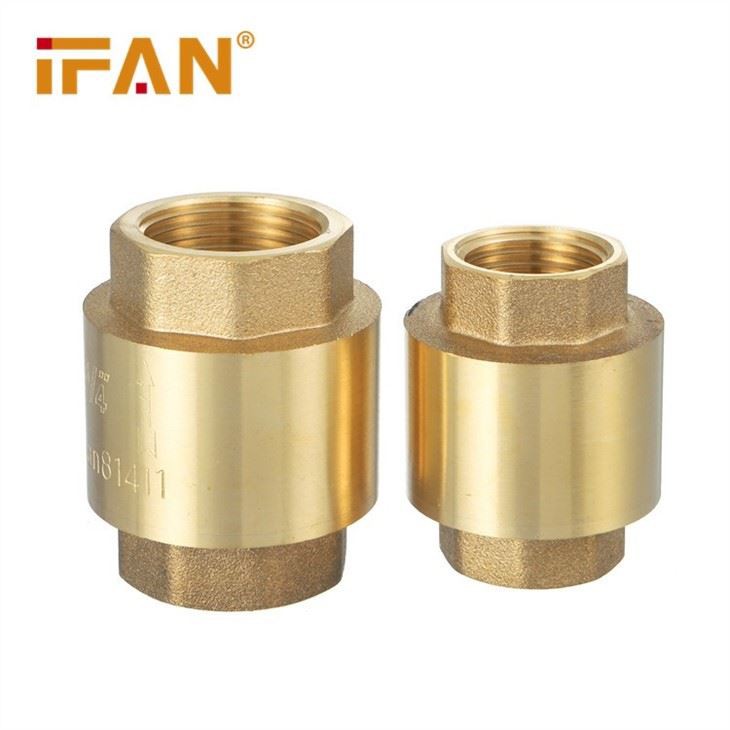 China Check Valve Brass