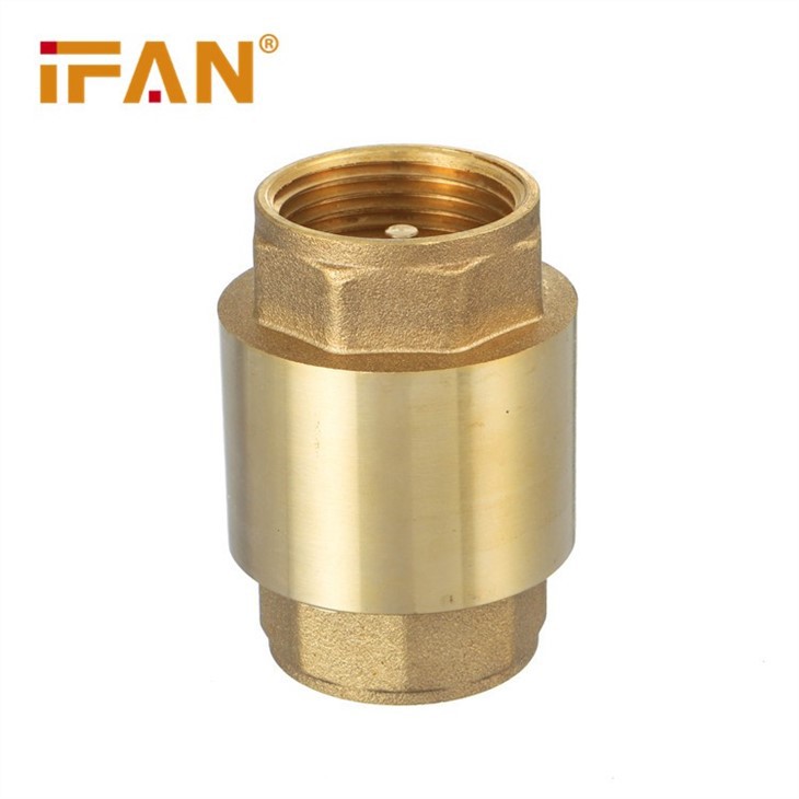 China Check Valve Brass