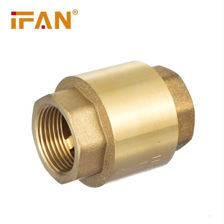 China Check Valve Brass