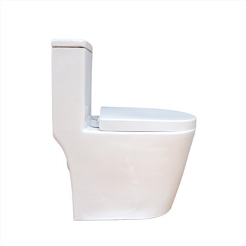 What is the function of the smart toilet