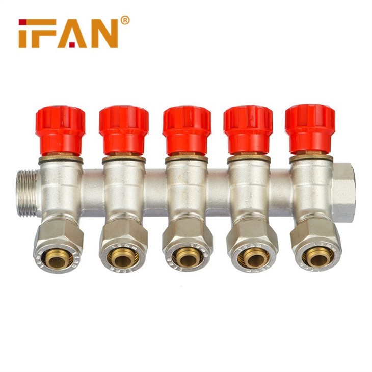 IFAN Brass Manifold