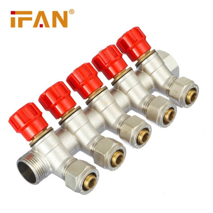 IFAN Brass Manifold