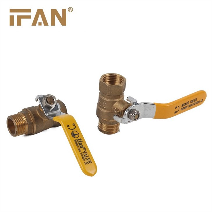 IFAN Gas Valve 81052