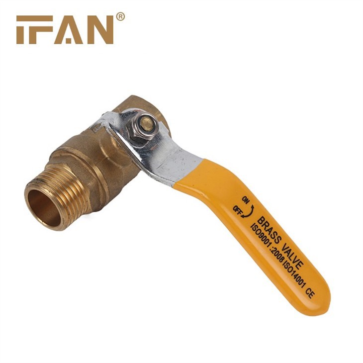 IFAN Gas Valve 81052