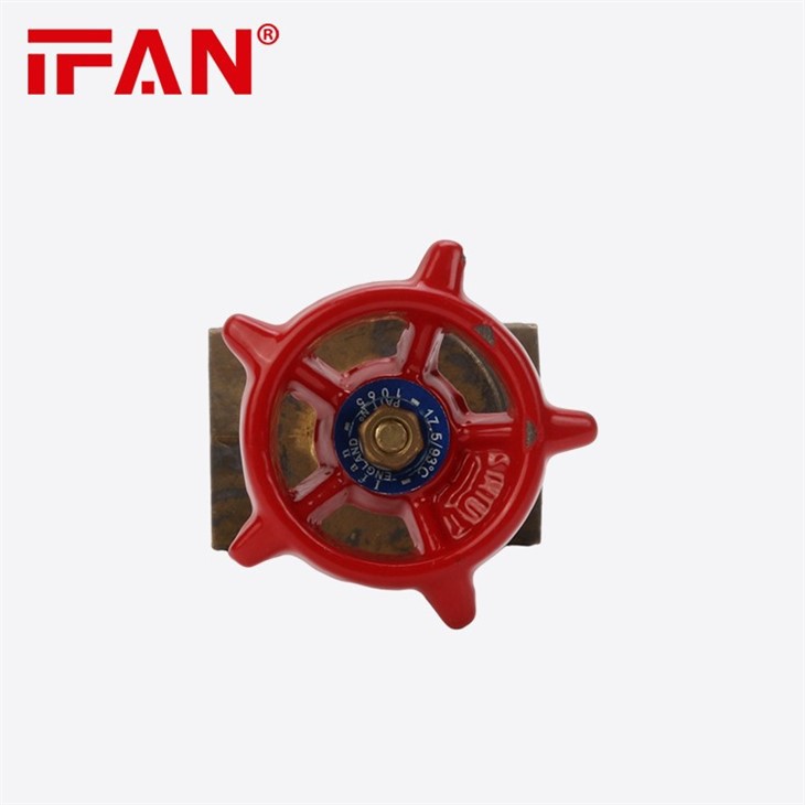 IFAN Gate Valve