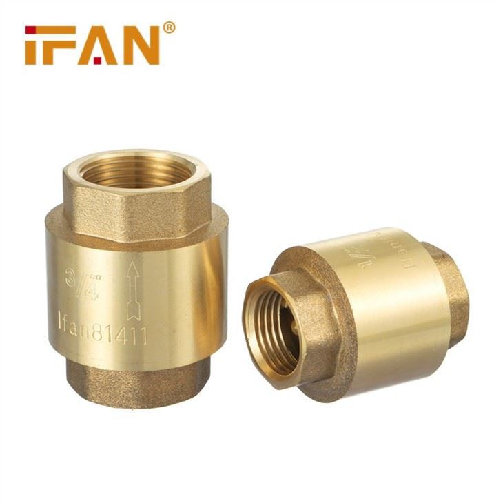 Introduction Of Check Valve