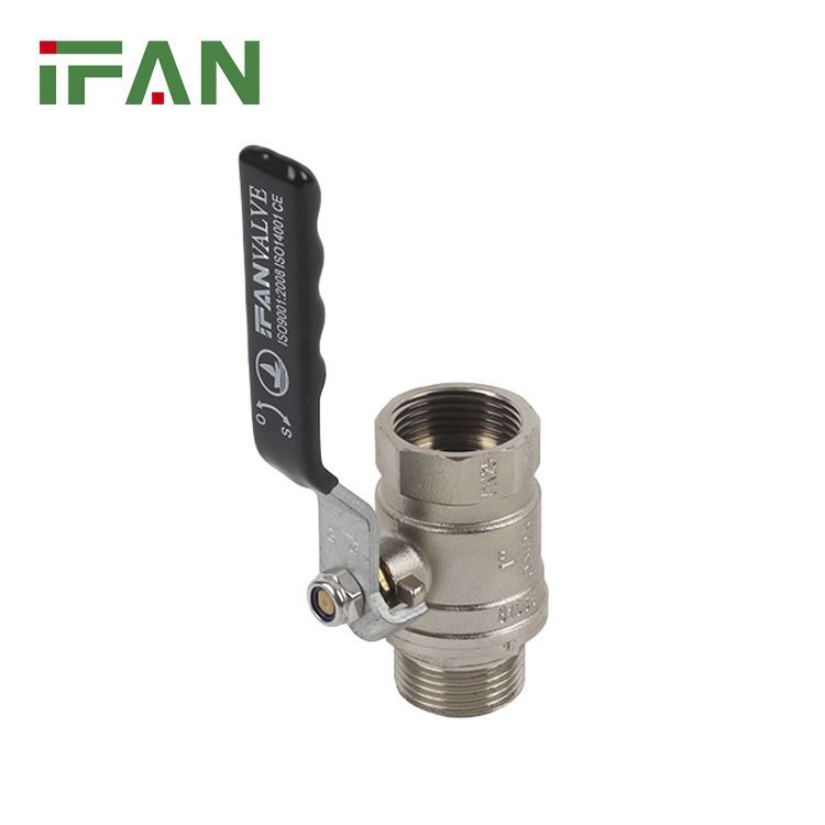 IFAN 81065 Long Handle Water Valve