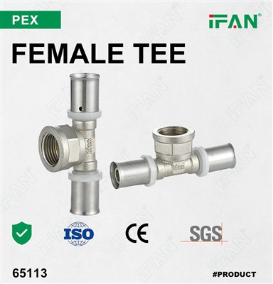 IFAN PEX Press Fitting