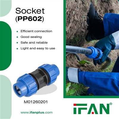 IFAN PP 602 Socket