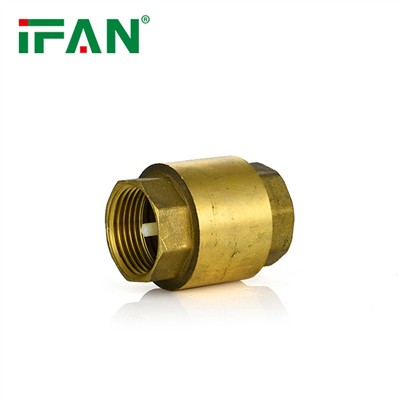 Service Life and Durability Assessment of Brass Check Valves