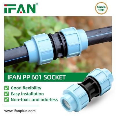 IFAN 601 Socket