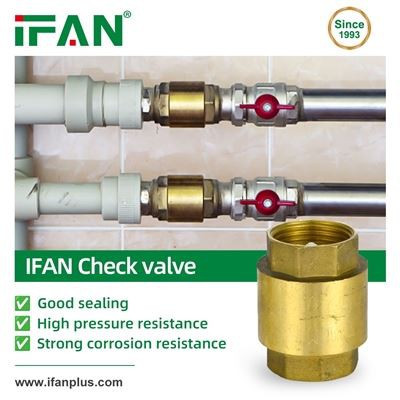 IFAN Check Valve