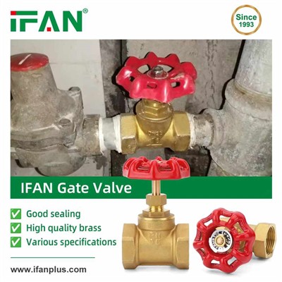 IFAN Gate Valve