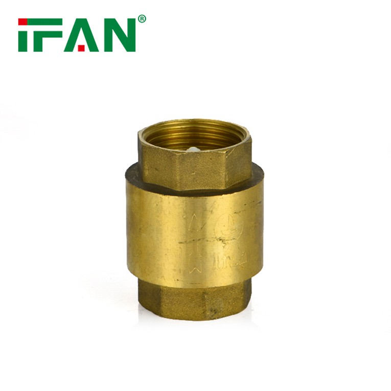 brass check valve 10