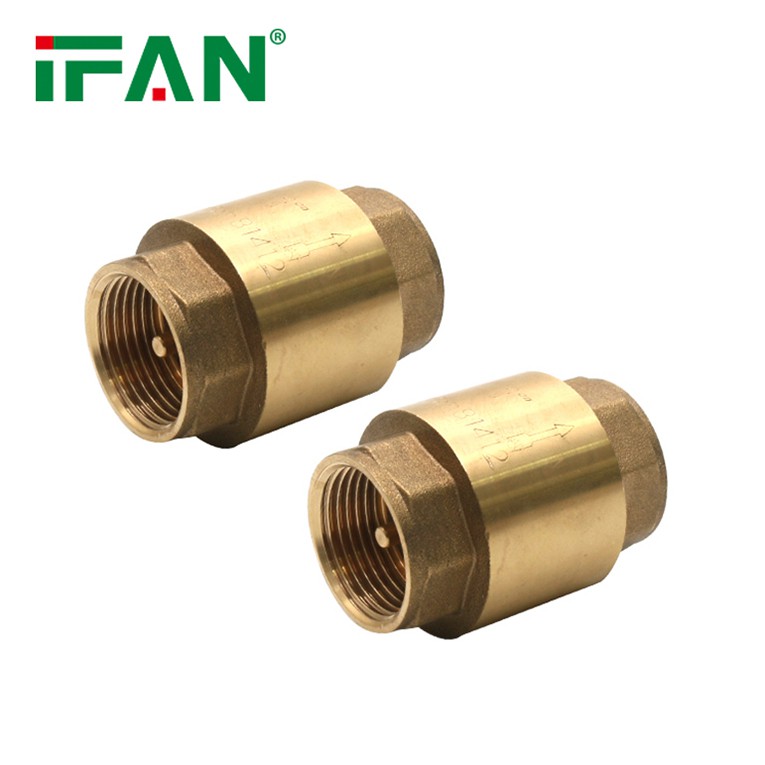 brass check valve 3