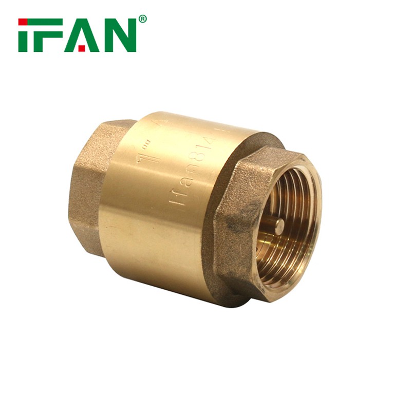 brass check valve 8