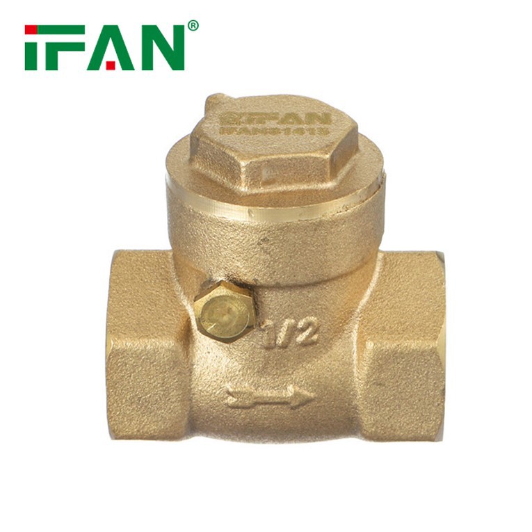 Brass Swing Check Valve 2