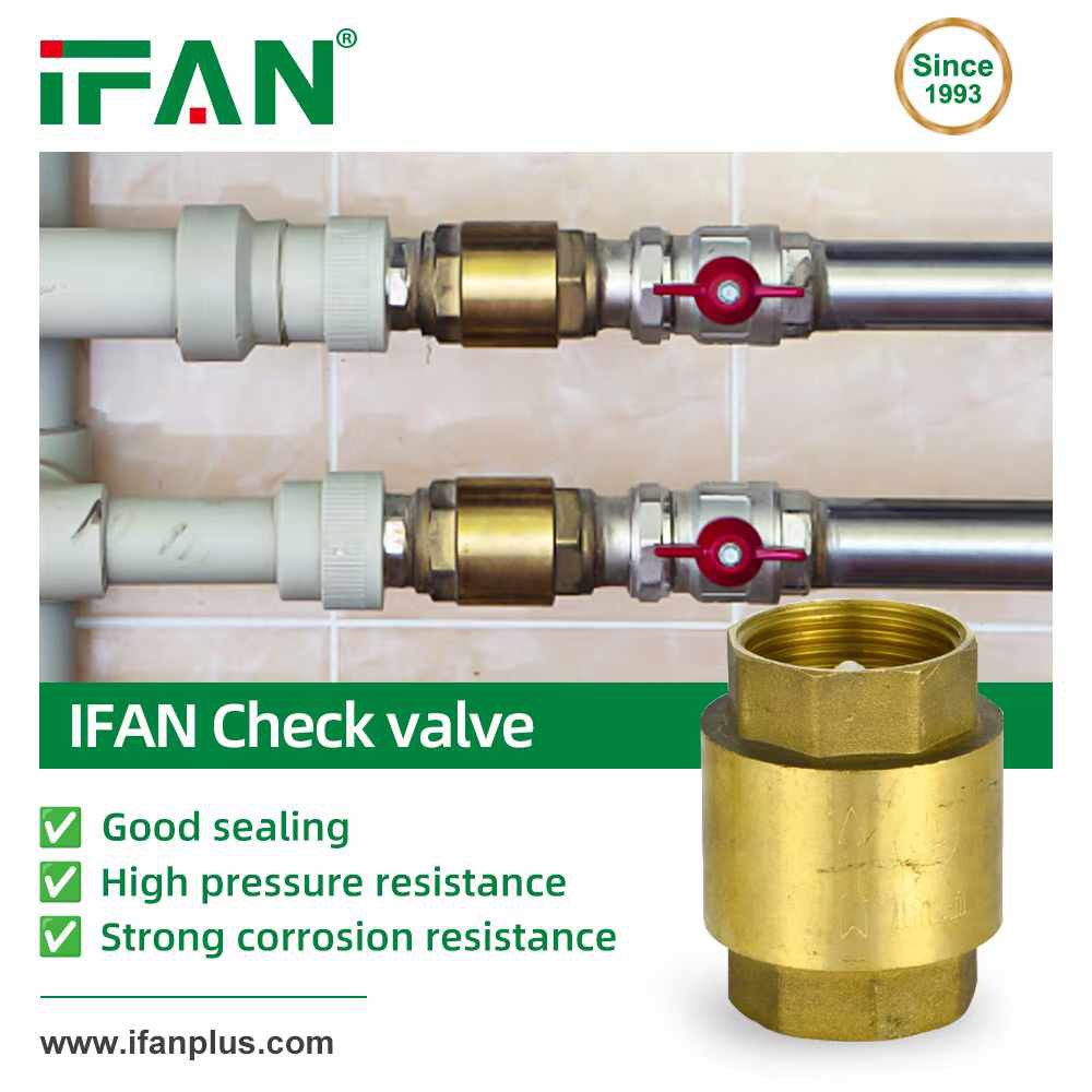 IFAN Check valve