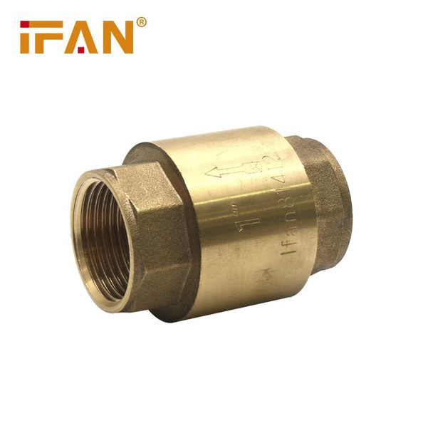 Vertical Check Valve